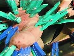 deutsche-pornos milf-pornos fetisch-pornos dominant, domina, bdsm, versaut, benutzen, klammern