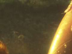 outdoor-pornos lesben-pornos naturtitten-pornos fingern, lesben oralsex, dessous, geile lesben, ausziehen, outdoor lesben sex